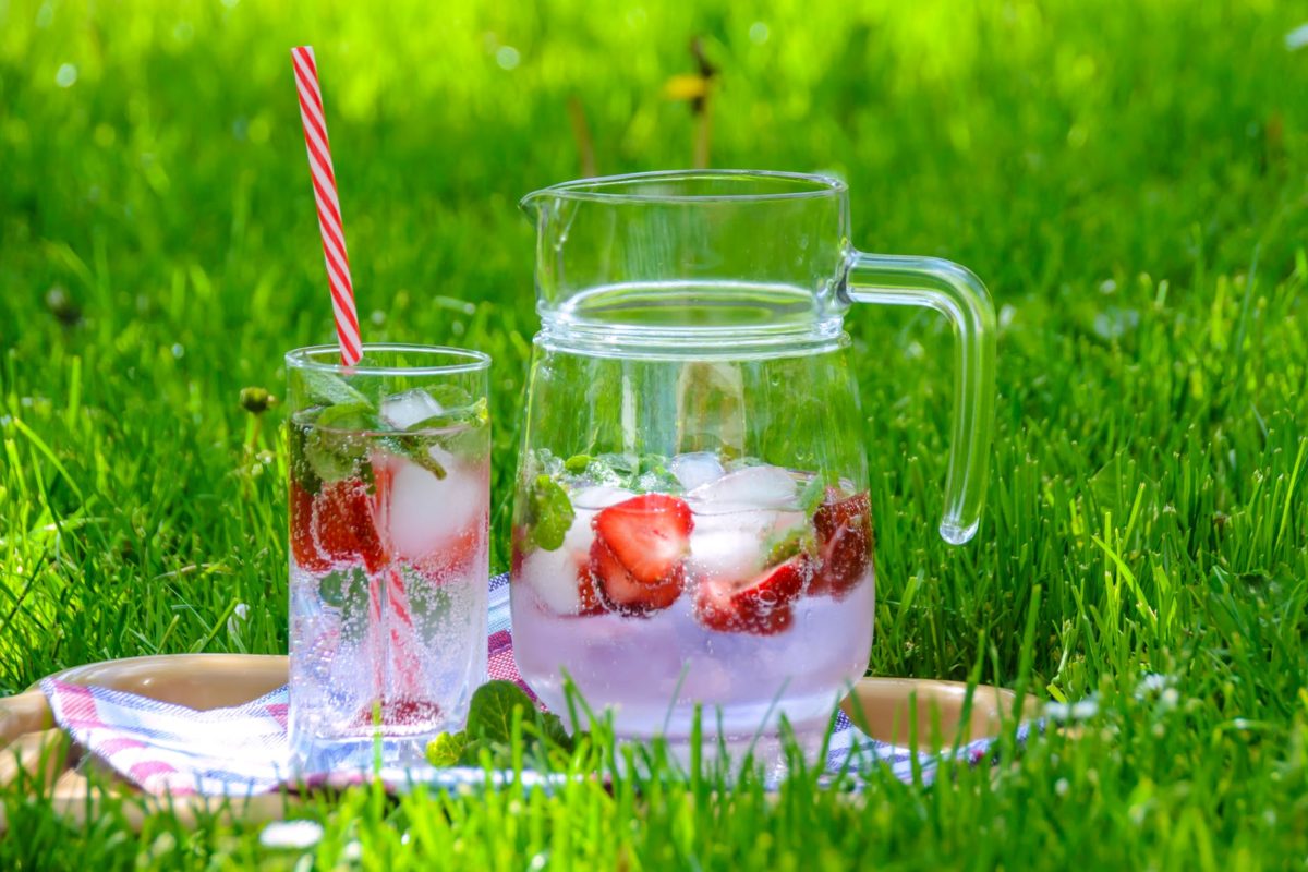clear glass pitcher with drinking cup on green grass