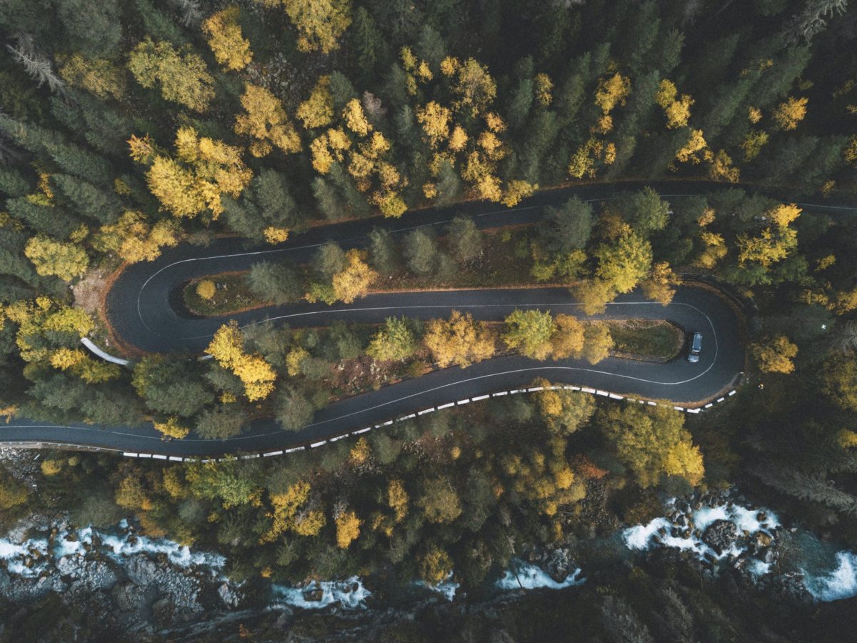 top view photo of curved road surrounded by trees