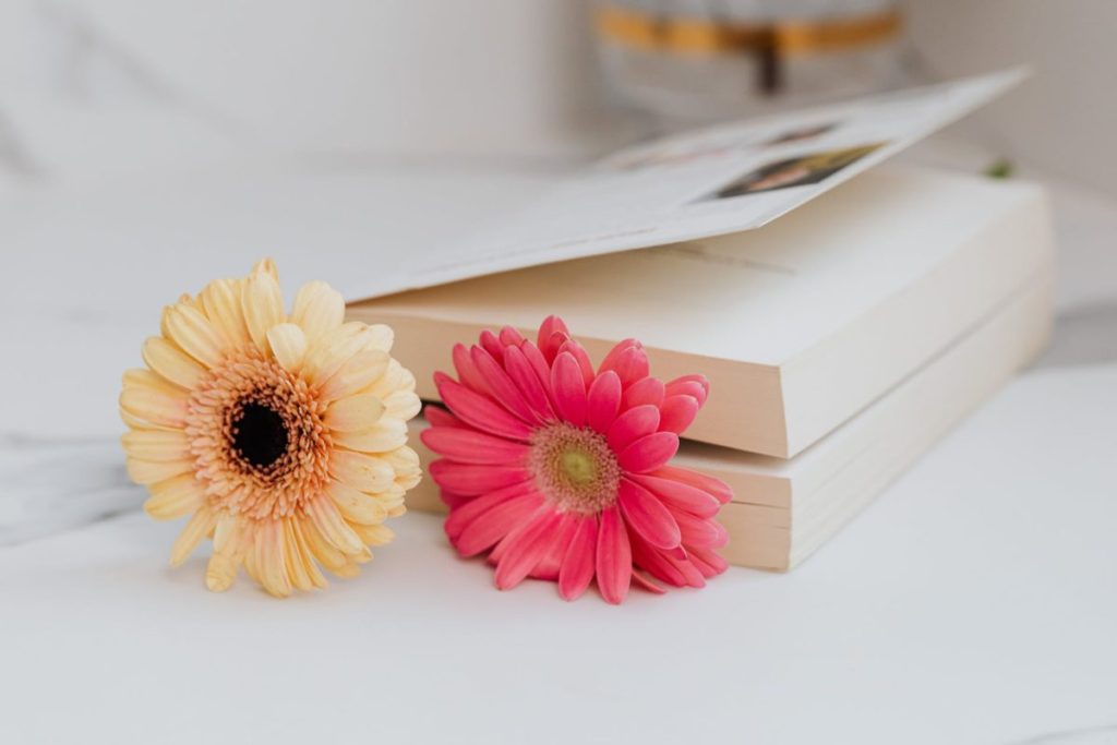 pink and yellow flower in the book