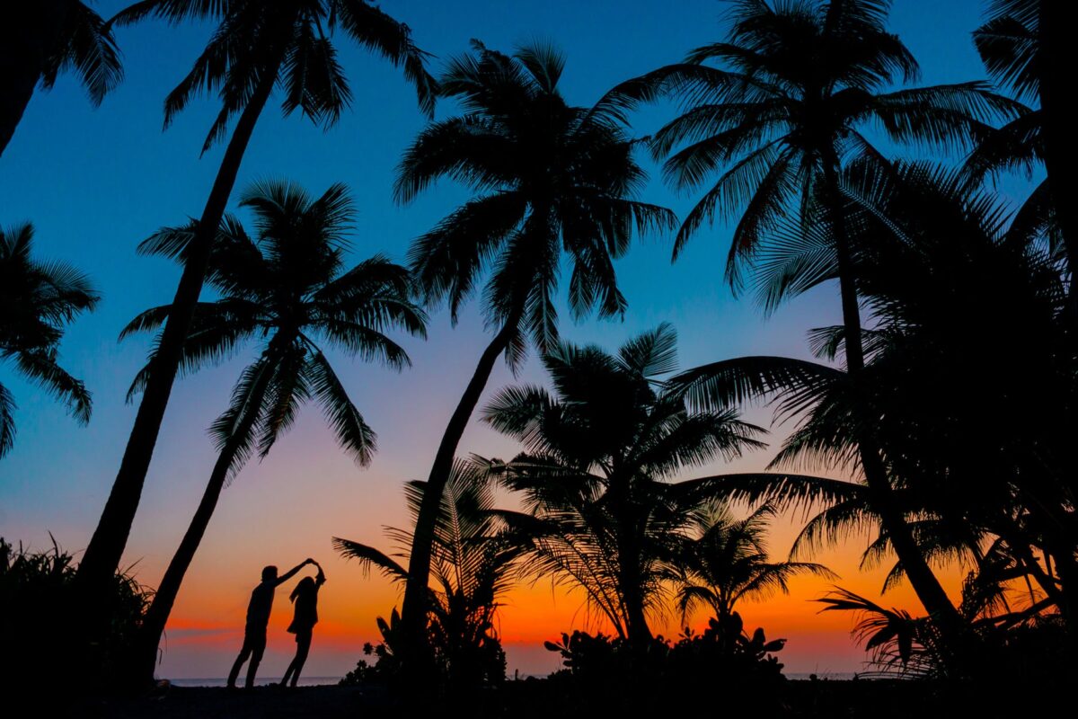 silhouette photography of man and woman beside trees during sunset